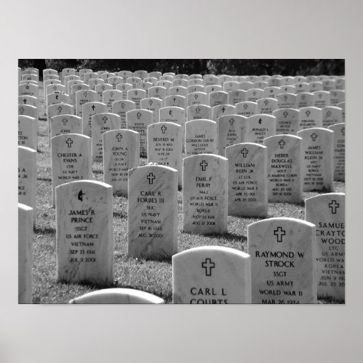 アーリントンB&W ポスター (正面)