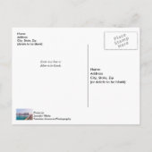 アーリーナバラビーチフロリダ魚釣りはがき ポストカード (裏面)