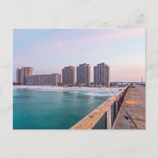 アーリーナバラビーチフロリダ魚釣りはがき ポストカード (正面)