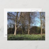 アーリー春アットビュートパーク,カーディフ ポストカード (正面/裏面)