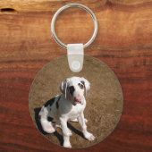 アールシッター キーホルダー (正面)