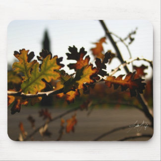 アールヌーボーの苗木 マウスパッド