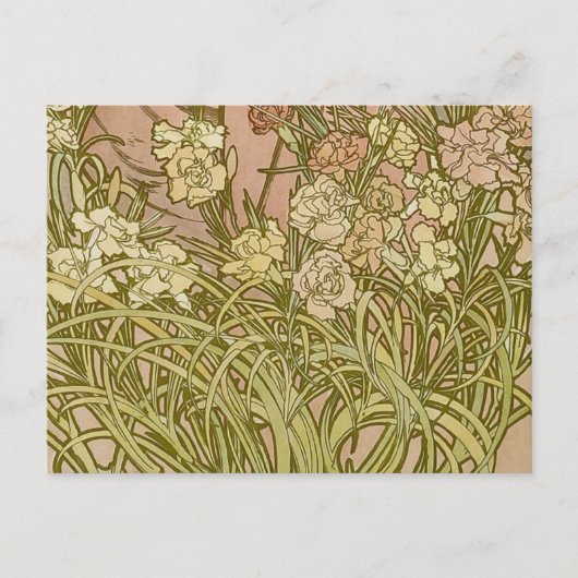 アールヌーボーアルフォンスミュシャフローラカーネーション花 ポストカード (正面)