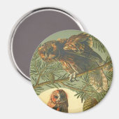 アールヌーボーアントンセデルフクロウ茶色の緑の黄色 マグネット (正面/裏面)