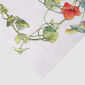 アールヌーボーガーデンナスタジウムフラワーズ 薄葉紙 (詳細)