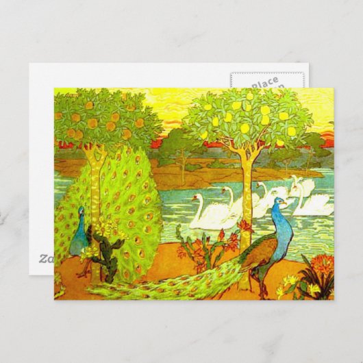 アールヌーボーピーコックスとスワン ポストカード (正面/裏面)