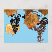 アールヌーボーフロストブドウ ポストカード (正面)