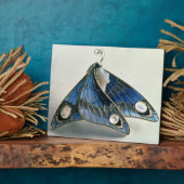 アールヌーボーペンダント型枠に蝶, c.190 フォトプラーク (側面)