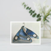 アールヌーボーペンダント型枠に蝶， c.190 ポストカード (スタンド正面)