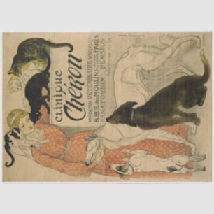 アールヌーボーポスター21 Pets Lady Decompage 薄葉紙