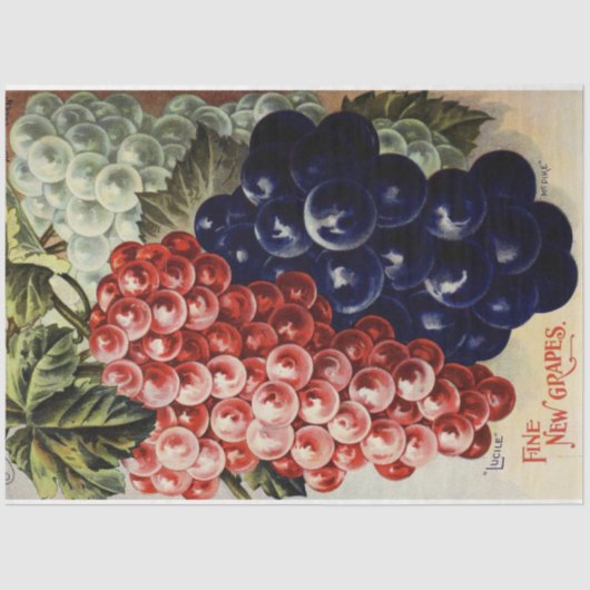 アールヌーボーポスター25ぶどうデコペティッシュペーパー 薄葉紙 (正面)