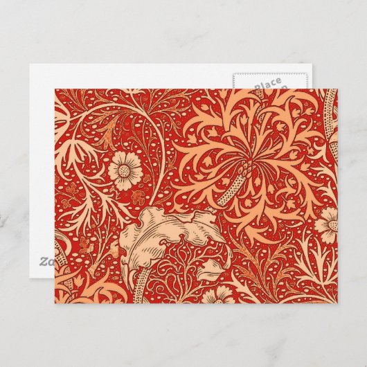 アールヌーボー海藻フローラ、深いコーラルオレンジ ポストカード (正面/裏面)