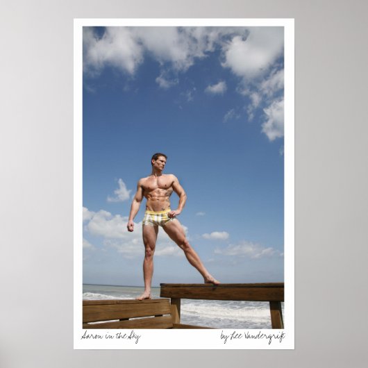 アーロンインザスカイbyリー・ヴァンダーグリフト ポスター (正面)