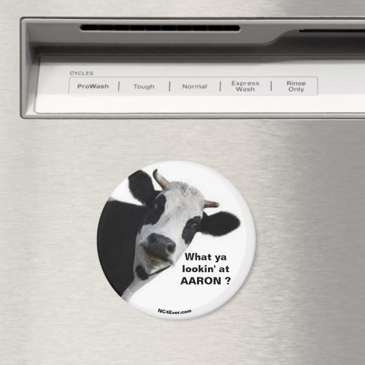 アーロン何を見てる?おもしろい磁石 マグネット (インサイチュ (食洗機))