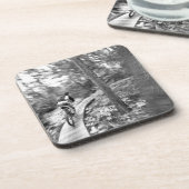 アーロン·ロジャース山サイクリングオンザステアウェイトゥ コースター (左側)