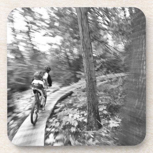 アーロン·ロジャース山サイクリングオンザステアウェイトゥ コースター (正面)