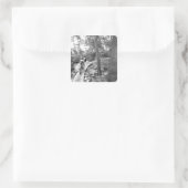 アーロン·ロジャース山サイクリングオンザステアウェイトゥ スクエアシール (バッグ)