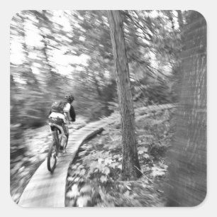 アーロン·ロジャース山サイクリングオンザステアウェイトゥ スクエアシール