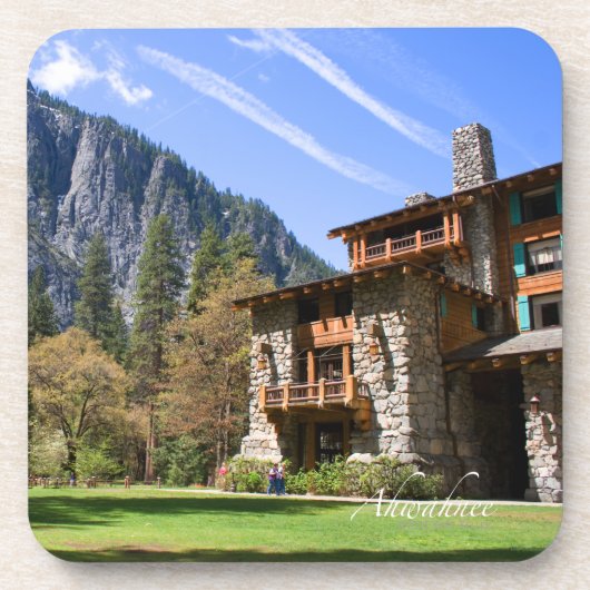 アーワニー コースター (正面)