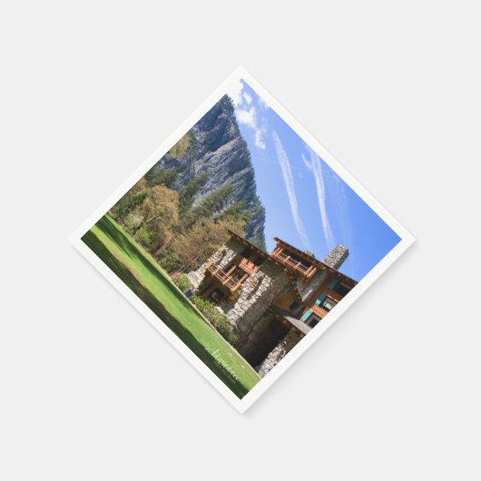 アーワニー スタンダードカクテルナプキン (角)