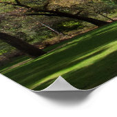 アーワニー ポスター (角)