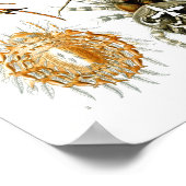 アーンストヘイケルファインアート ポスター (角)