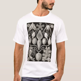 アーンストヘッケルアンフォリデア Tシャツ