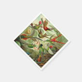 アーンスト・ハエッケル科ハチドリ スタンダードカクテルナプキン (角)