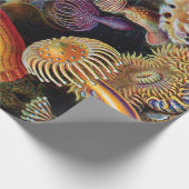 アーンスト・ヘイケルによる自然の芸術 ラッピングペーパー (角)