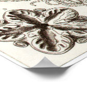 アーンスト・ヘイケル・アートプリント：クリノアイデア ポスター (角)