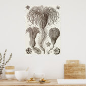 アーンスト・ヘイケル・アートプリント：クリノアイデア ポスター (キッチン)