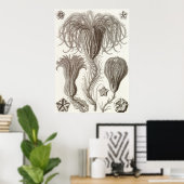 アーンスト・ヘイケル・アートプリント：クリノアイデア ポスター (ホームオフィス)