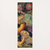 アーンスト·ヘッケルの自然術 ヨガマット (裏面)