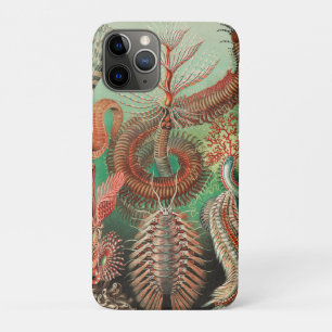 アーンスト・ヘッケルのAnnelids Chaetopodaのワーム iPhone 11 Proケース