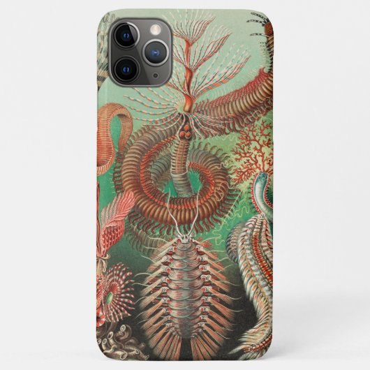 アーンスト・ヘッケルのAnnelids Chaetopodaのワーム Case-Mate iPhoneケース (裏面)