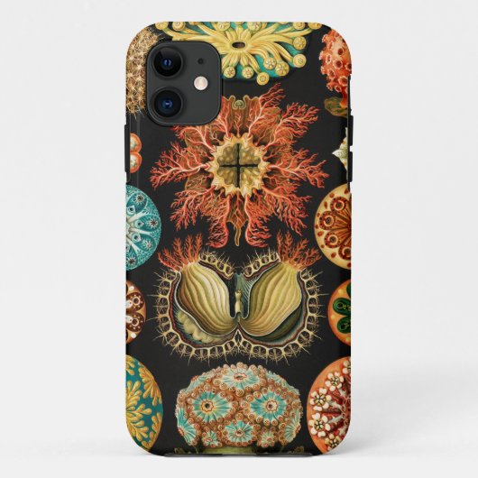 アーンスト・ヘッケルのSeescheiden Marine Life, Ascidiae Case-Mate iPhoneケース (裏面)
