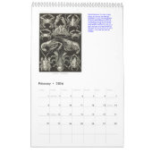 アーンスト·ヘッケルスケッチの暦 カレンダー (2月 2026)