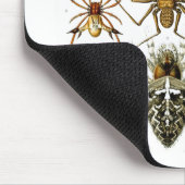 アーンスト・ヘッケルファインアート、アラチニダ（スパイダース） マウスパッド (コーナー)