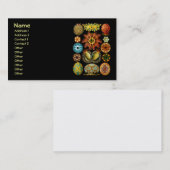 アーンスト・ヘッケルファインアート 名刺 (正面/裏面)