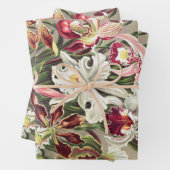 アーンスト·ヘッケル『オーキデア·デヌスブルメン』 ラッピングペーパーシート (インサイチュ)