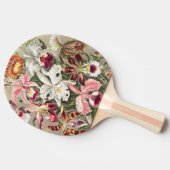 アーンスト·ヘッケル『オーキデア·デヌスブルメン』 卓球ラケット (横)