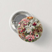 アーンスト·ヘッケル『オーキデア·デヌスブルメン』 缶バッジ (正面&裏面)