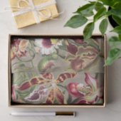 アーンスト·ヘッケル『オーキデア·デヌスブルメン』 薄葉紙 (ギフト)