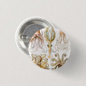 アーンスト·ヘッケル『タコプス·イカ』 缶バッジ (正面&裏面)