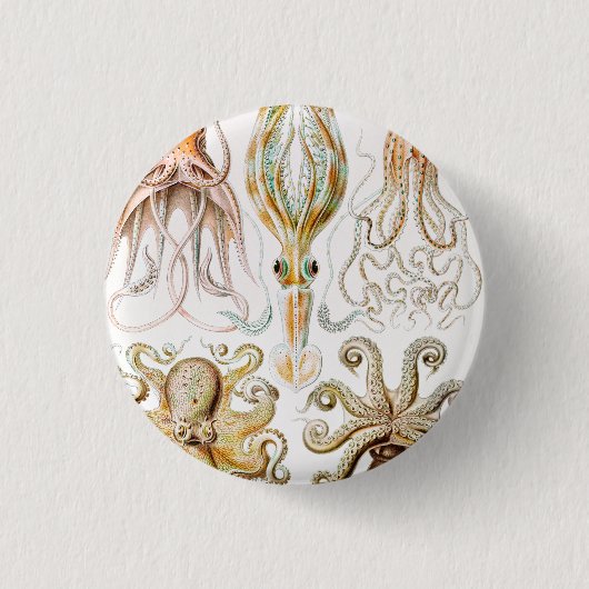 アーンスト·ヘッケル『タコプス·イカ』 缶バッジ (正面)