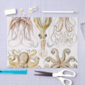 アーンスト·ヘッケル『タコプス·イカ』 薄葉紙 (クラフト)