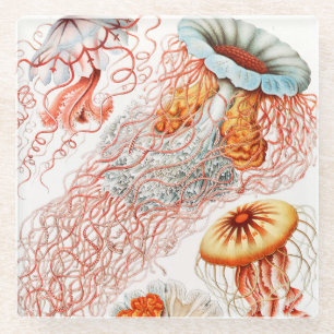 アーンスト·ヘッケル『Discomedusae』クラゲ ガラスコースター