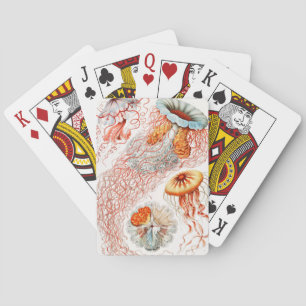 アーンスト·ヘッケル『Discomedusae』クラゲ トランプ