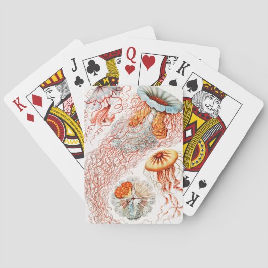 アーンスト·ヘッケル『Discomedusae』クラゲ トランプ (裏面)