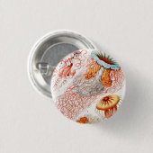 アーンスト·ヘッケル『Discomedusae』クラゲ 缶バッジ (正面&裏面)